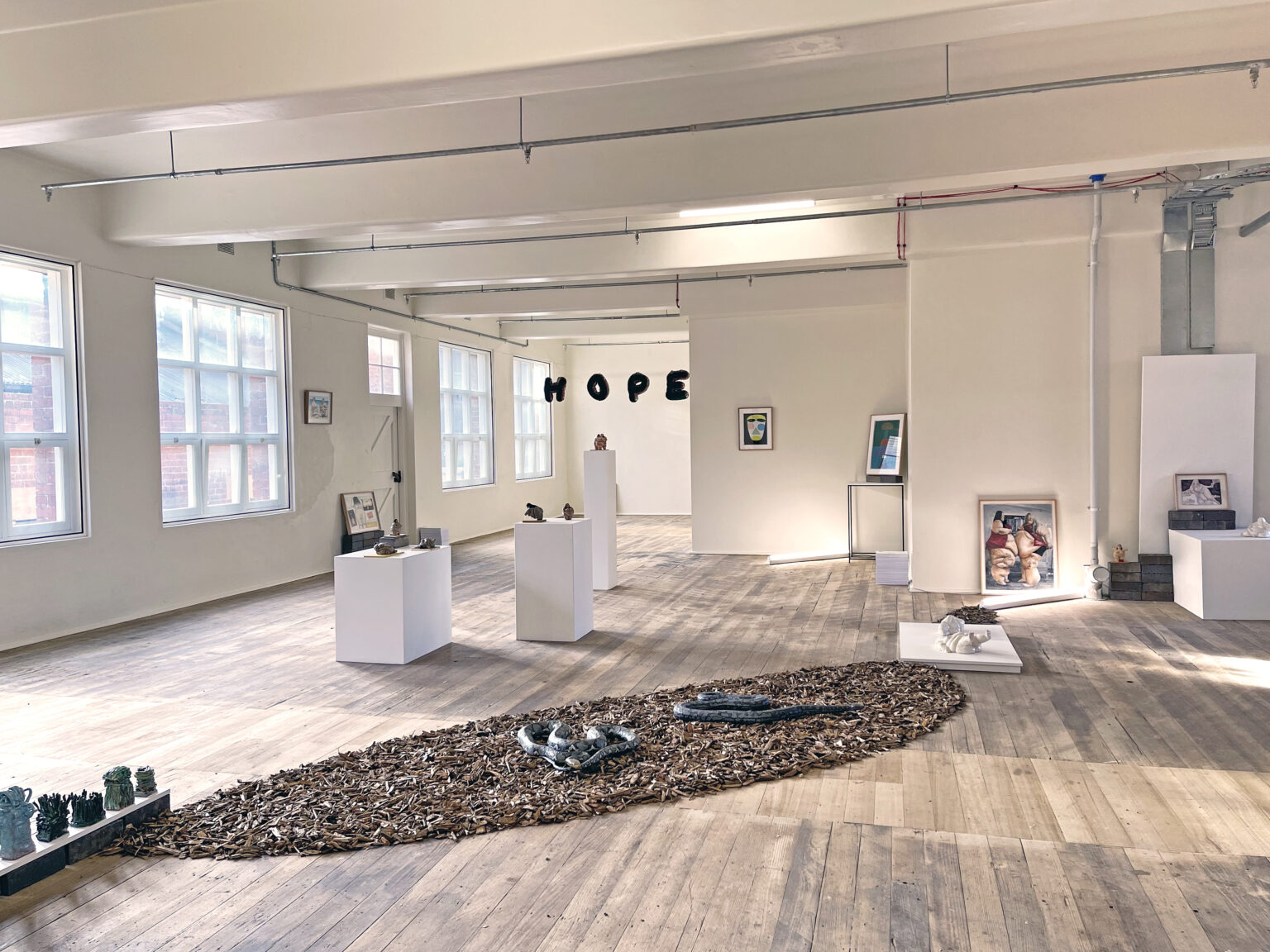 Installation View Spring Back