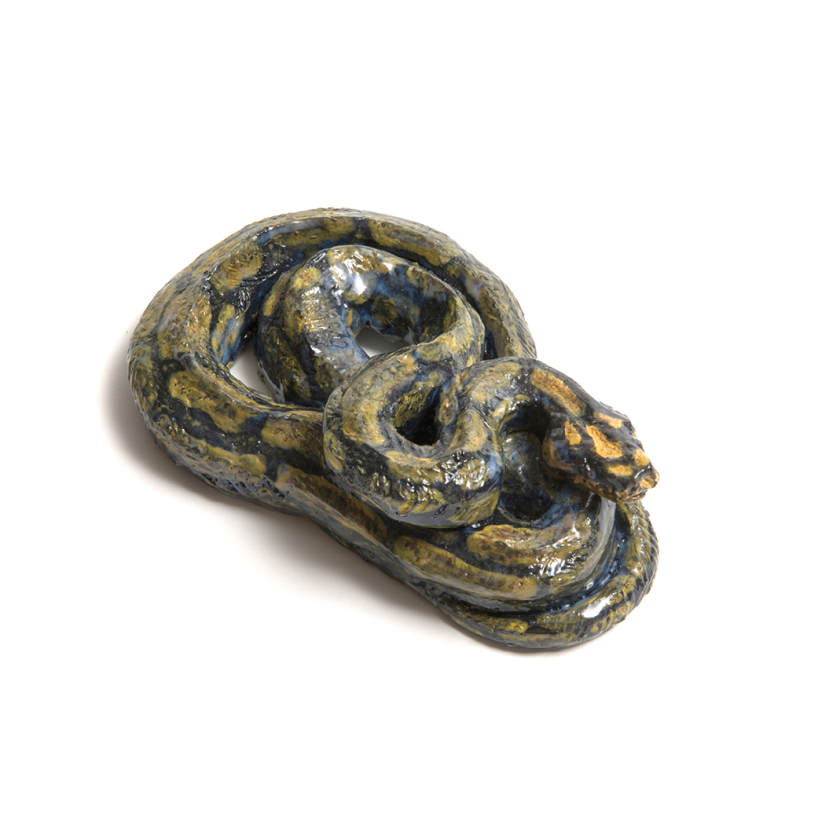 Jungle Carpet Python