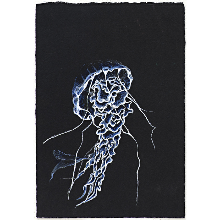 Untitled (blue and white octopus)