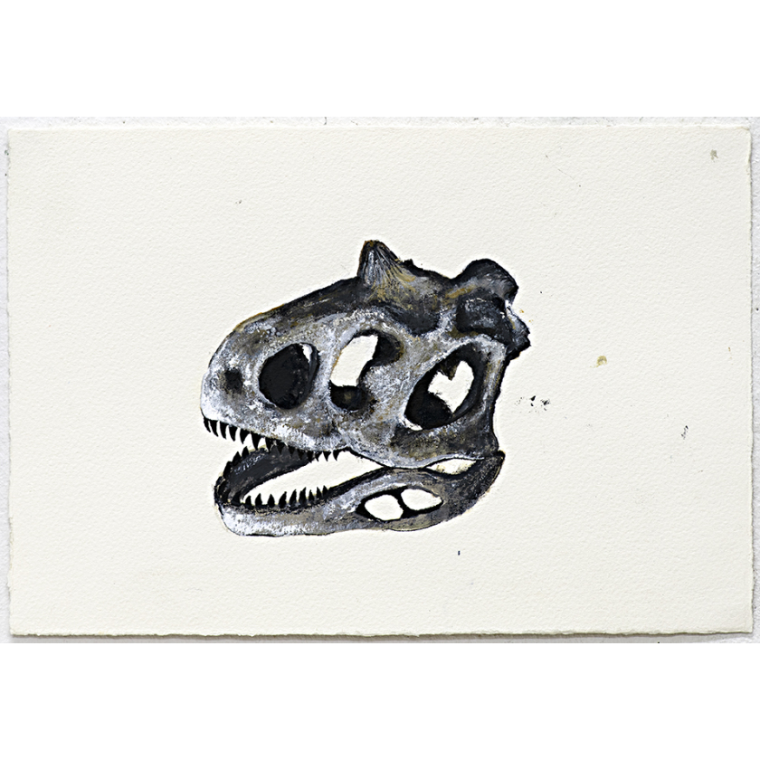 Untitled (animal skull)