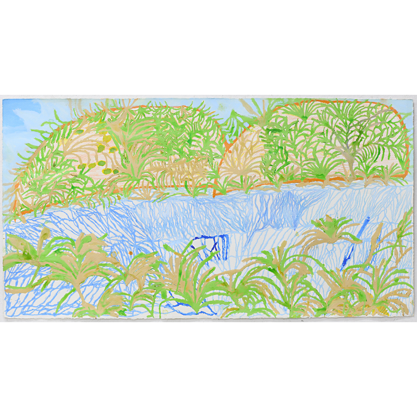 A Rich Habitat for Birdlife