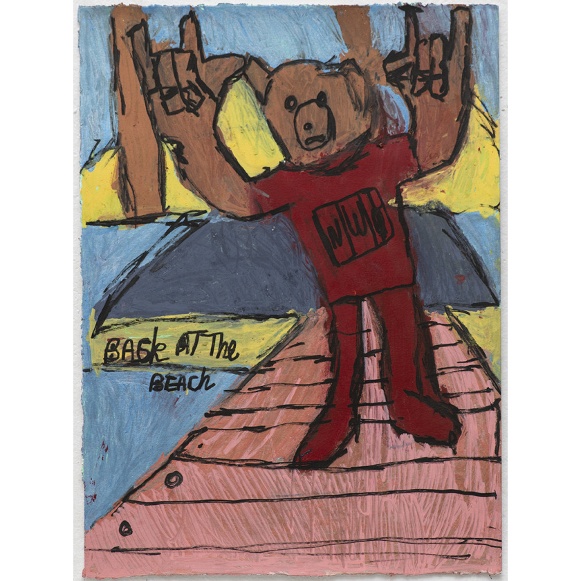 NWO Wolf Pack Bear Teddy Wrestler