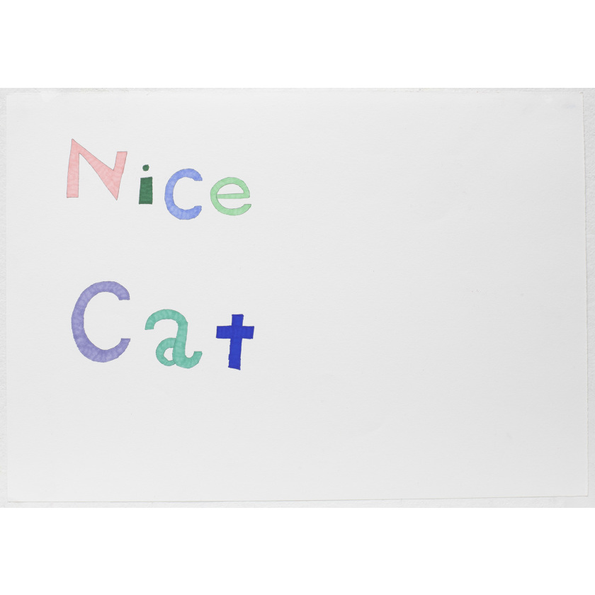 Nice Cat