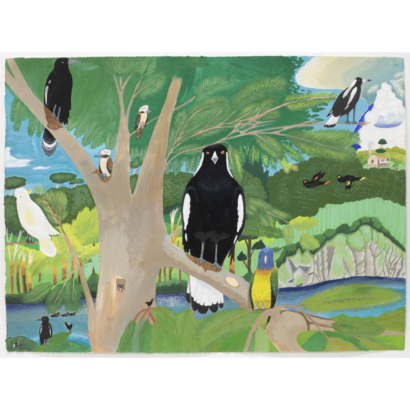 Warrandyte Yarra Magpie