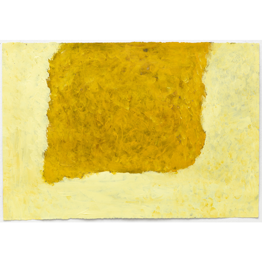 Flowers in the Studio