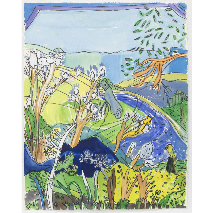 After Jaquline Batassa Eucalyptus Shedding Their Bark