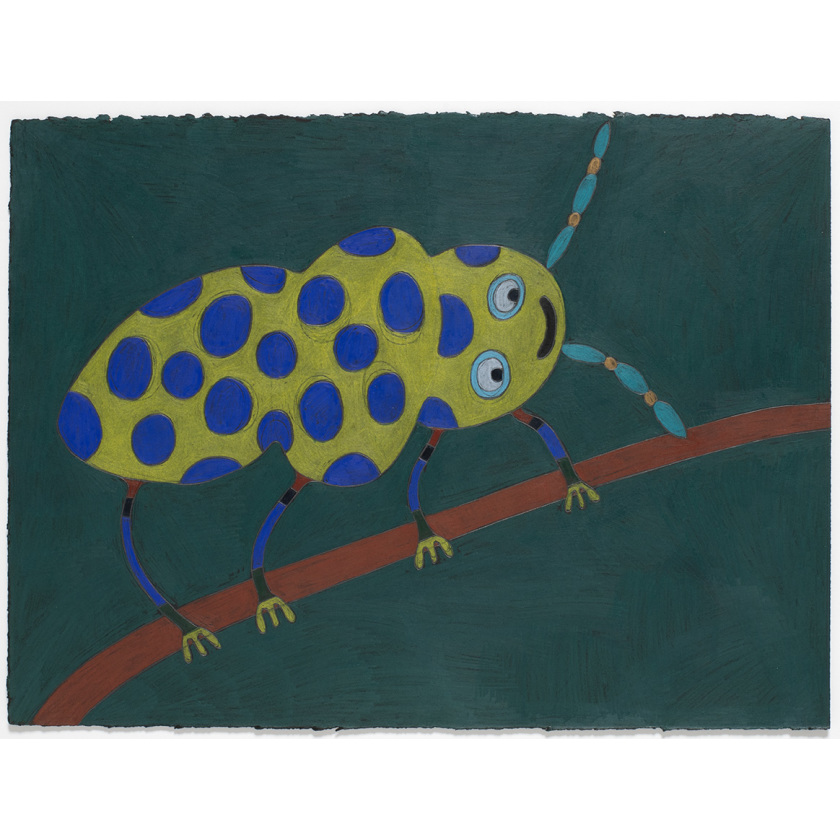 Untitled (Bug Series)